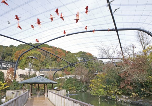 静岡市立日本平動物園