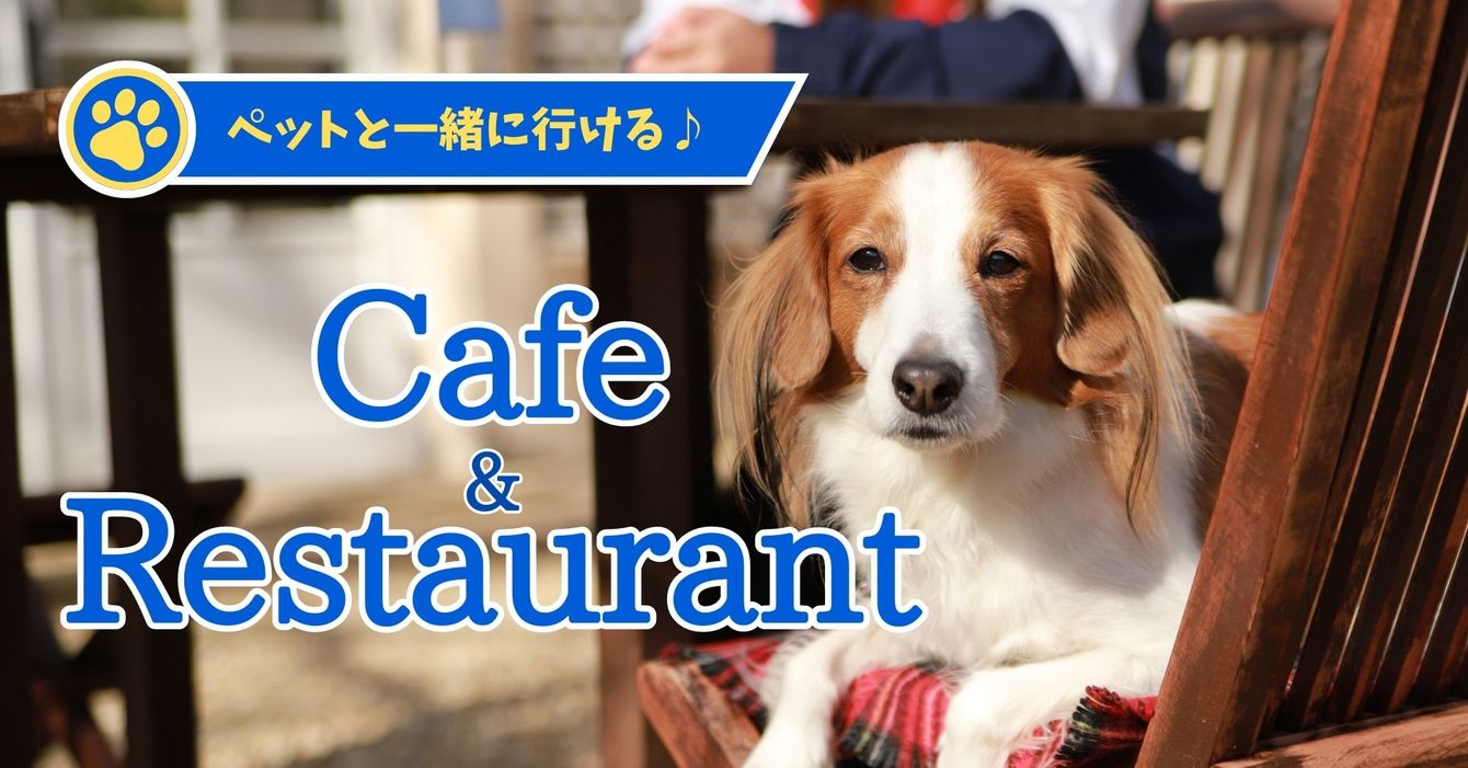 ペット特集レストラン