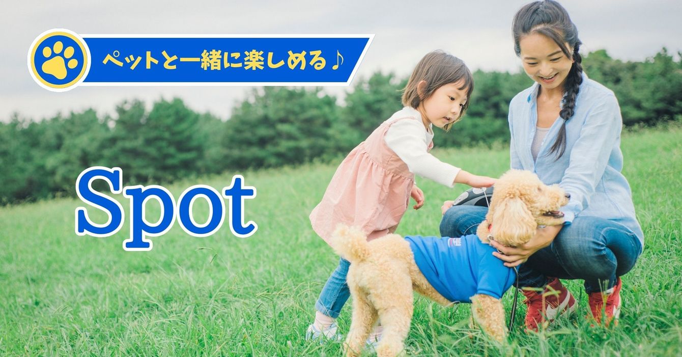 ペット特集スポット